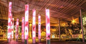 Fun night life in Phoenix Arizona